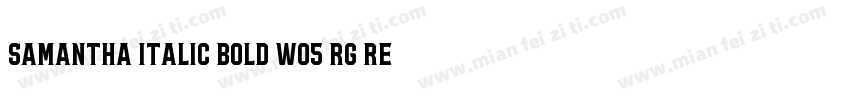 Samantha Italic Bold W05 Rg Regular字体转换